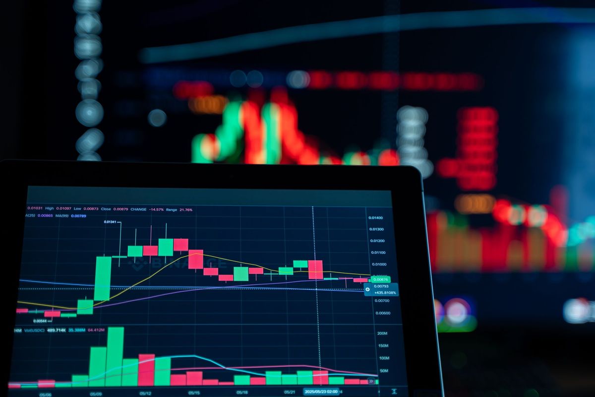Market Highlights: Key Stock Movements Observed