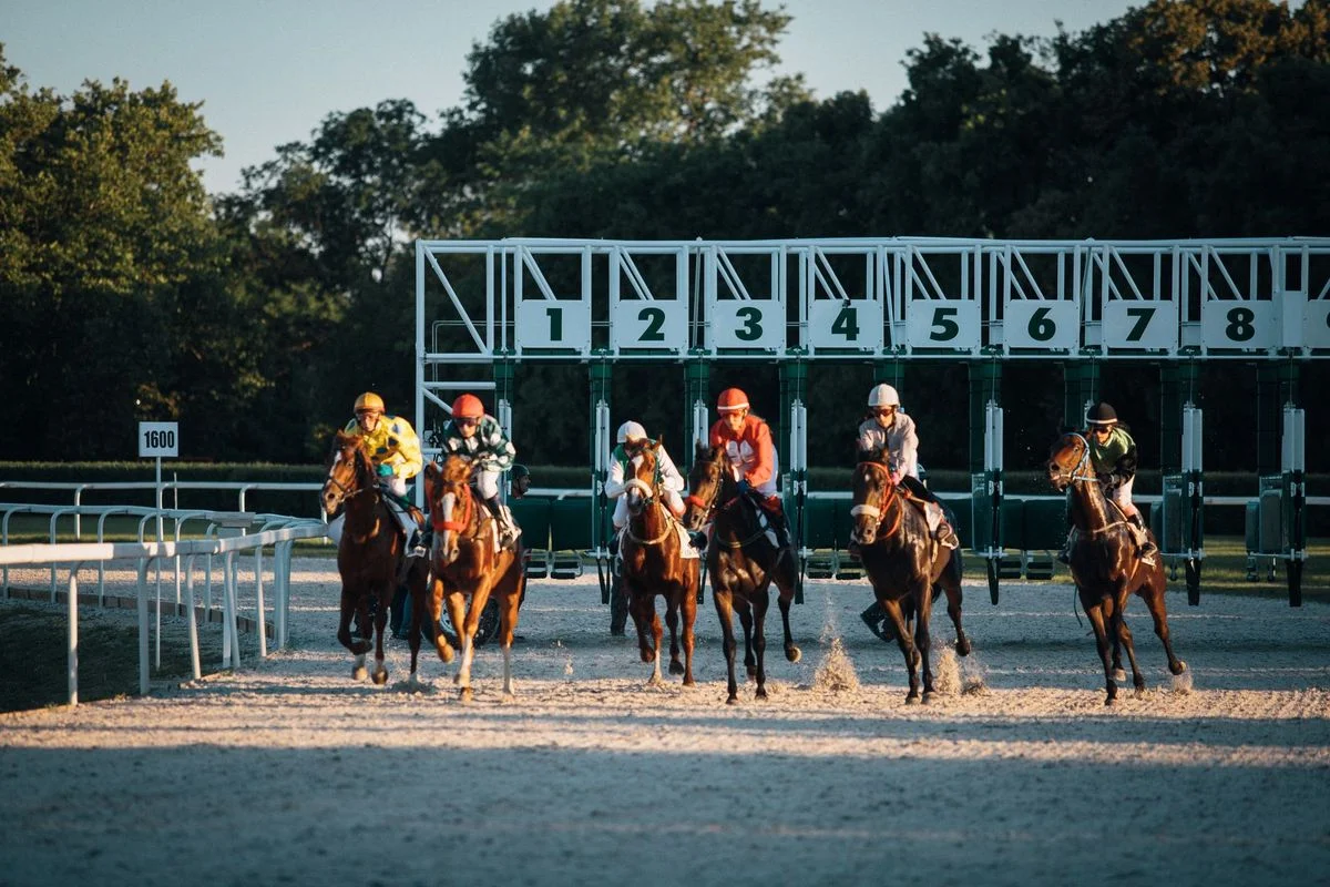 Horse Racing Tips and Goodwood Festival Insights