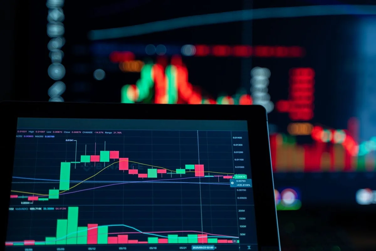 Market Highlights: Key Stock Movements Observed