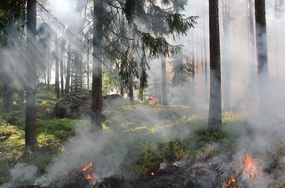 Ontario Fire Risk Prompts Prevention Urges