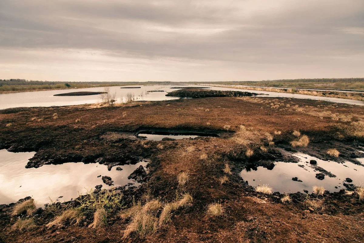 Holme Fen Fire: Peatland Blaze in Cambridgeshire