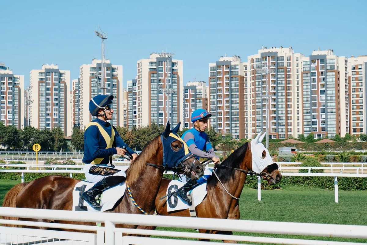 Horse Racing Tips Released for Thursday Meetings